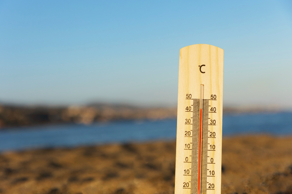 Ventilate and maintain your generator regularly to prevent overheating.